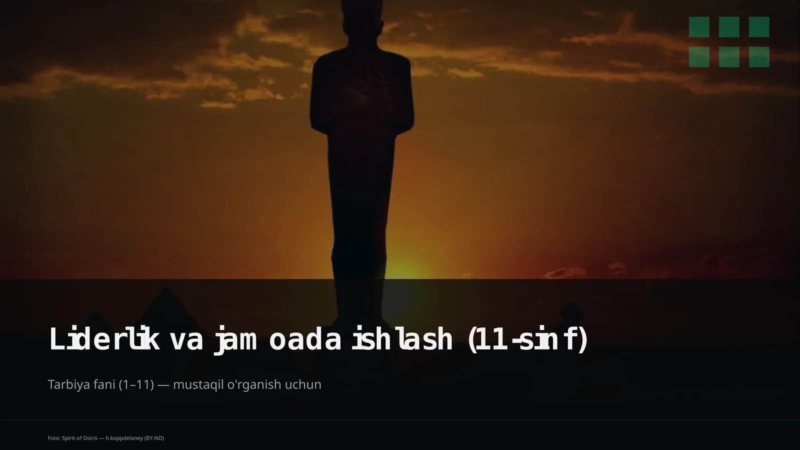 Liderlik va jamoada ishlash (11-sinf)