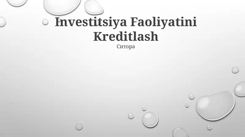 Investitsiya Faoliyatini Kreditlash