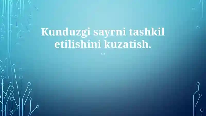 Kunduzgi sayr