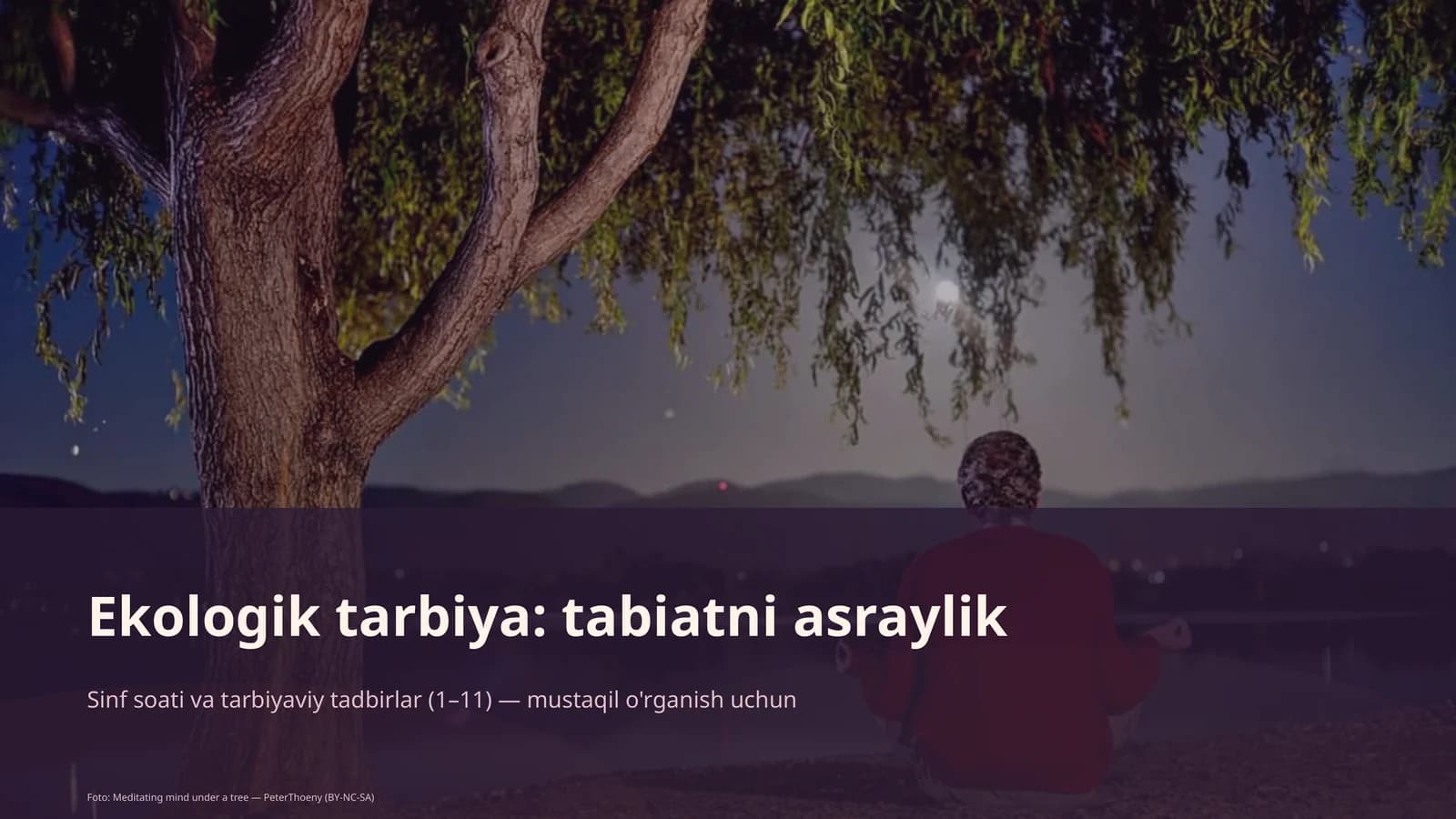 Ekologik tarbiya: tabiatni asraylik