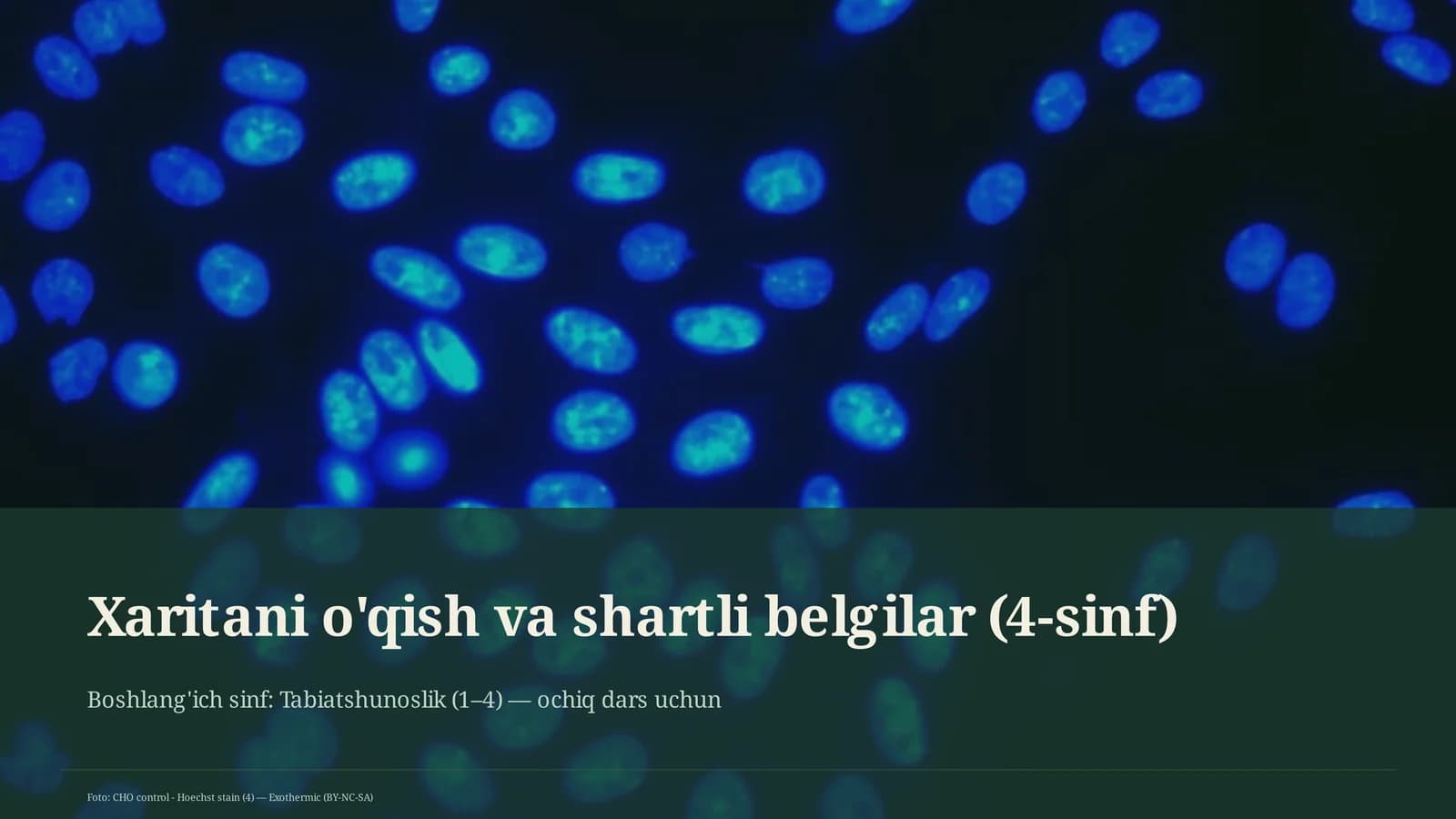 Xaritani o'qish va shartli belgilar (4-sinf)