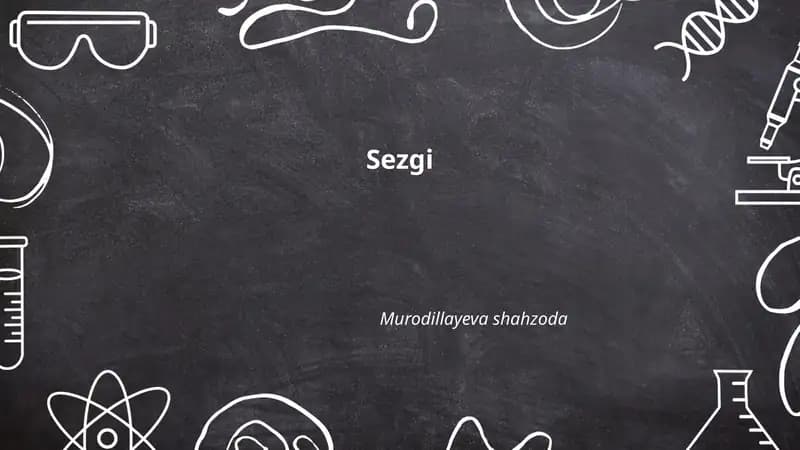 Sezgi