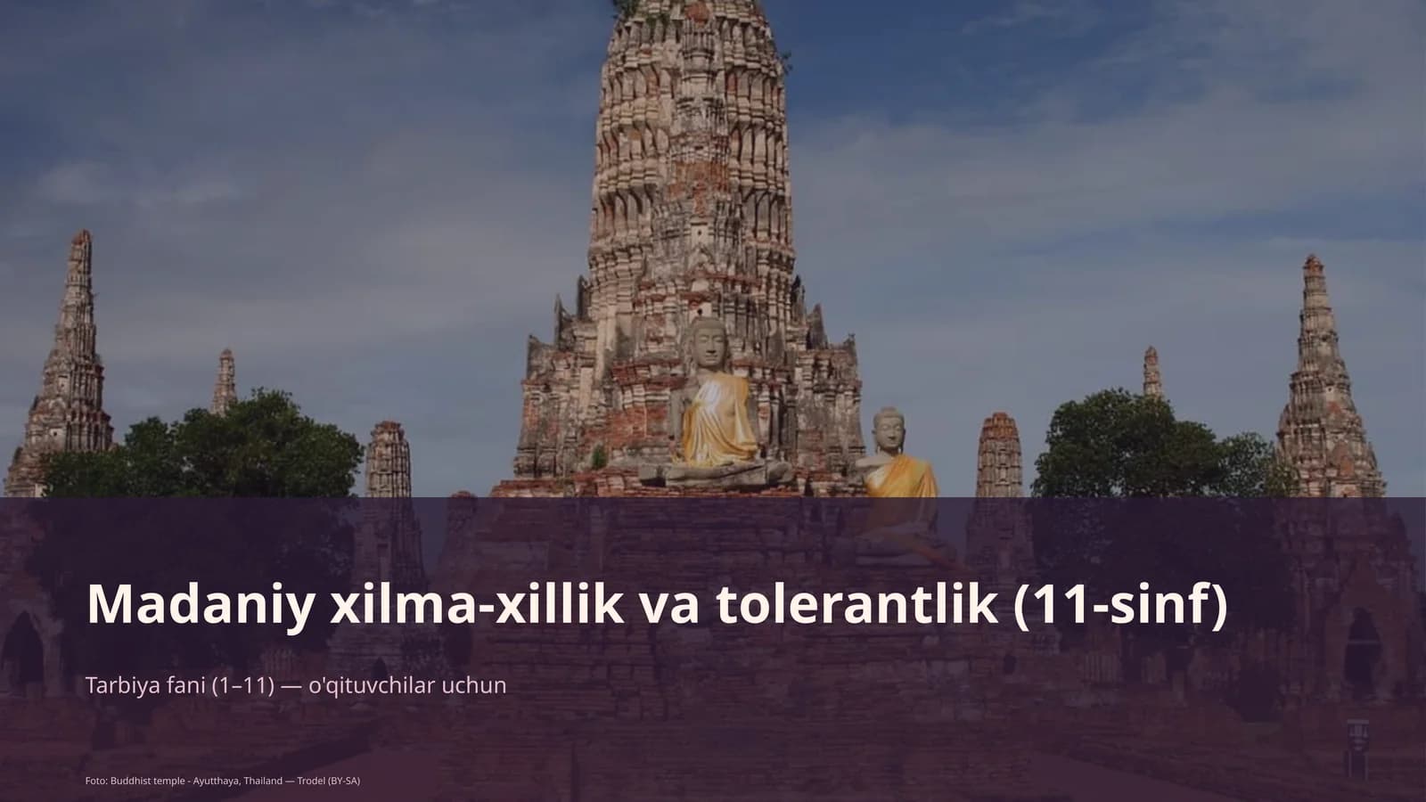 Madaniy xilma-xillik va tolerantlik (11-sinf)