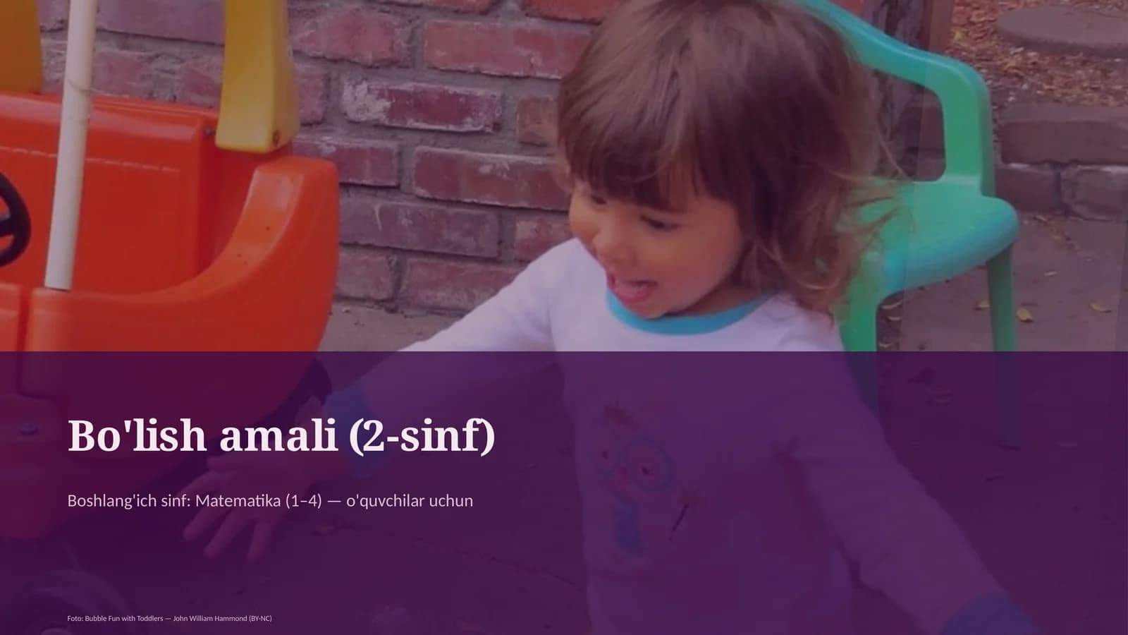 Bo'lish amali (2-sinf)