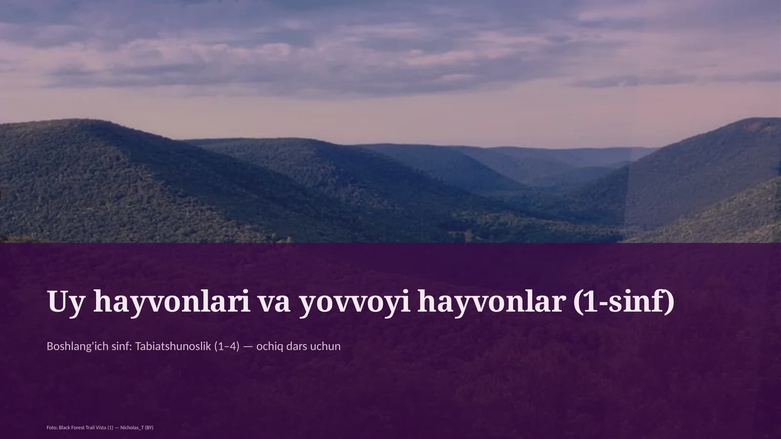 Uy hayvonlari va yovvoyi hayvonlar (1-sinf)