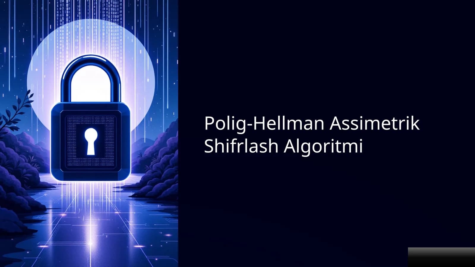 Polig-Hellman Assimetrik Shifrlash Algoritmi