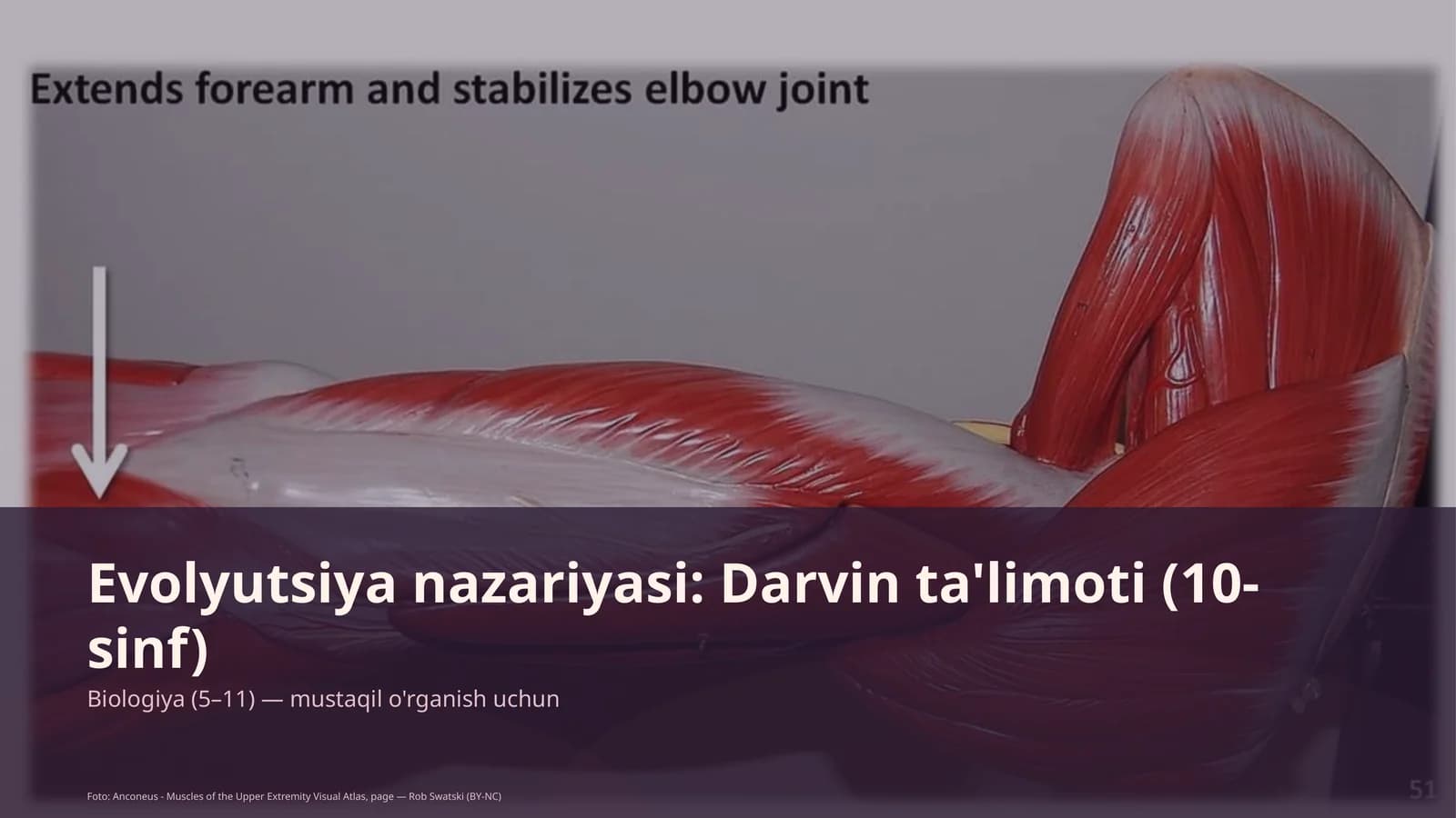Evolyutsiya nazariyasi: Darvin ta'limoti (10-sinf)