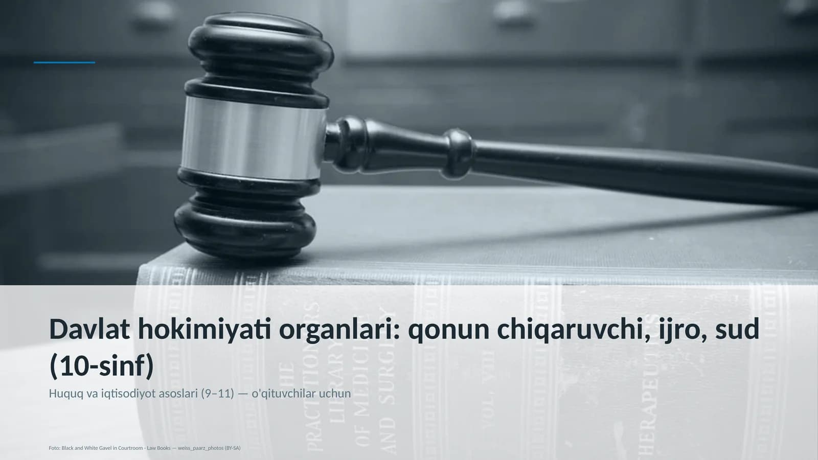 Davlat hokimiyati organlari: qonun chiqaruvchi, ijro, sud (10-sinf)