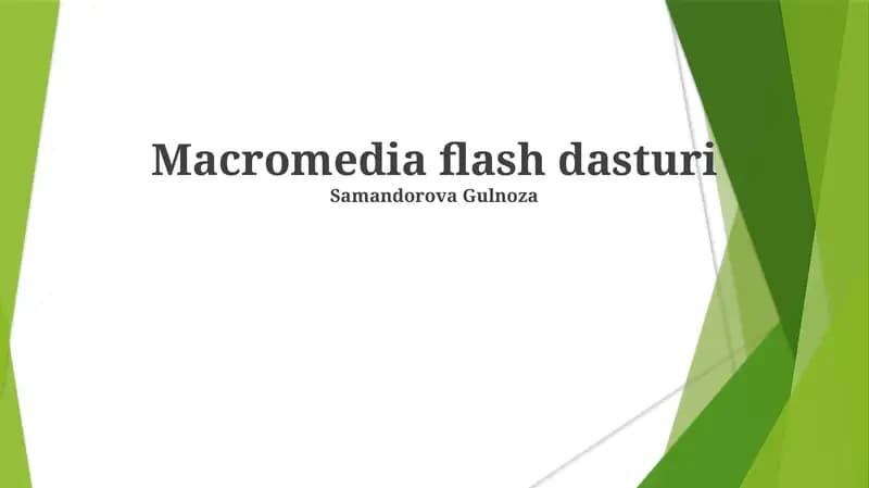 Macromedia flash dasturi