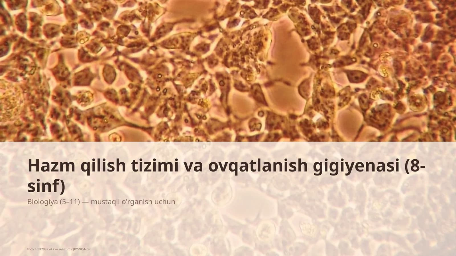 Hazm qilish tizimi va ovqatlanish gigiyenasi (8-sinf)