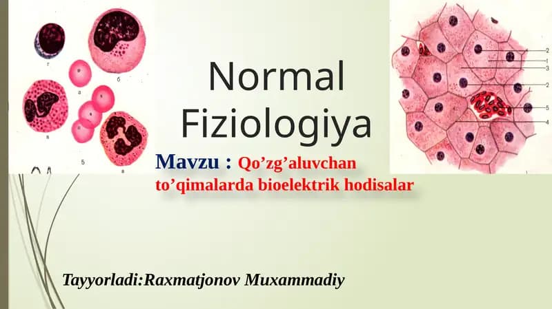 Qozg'aluvchanlik