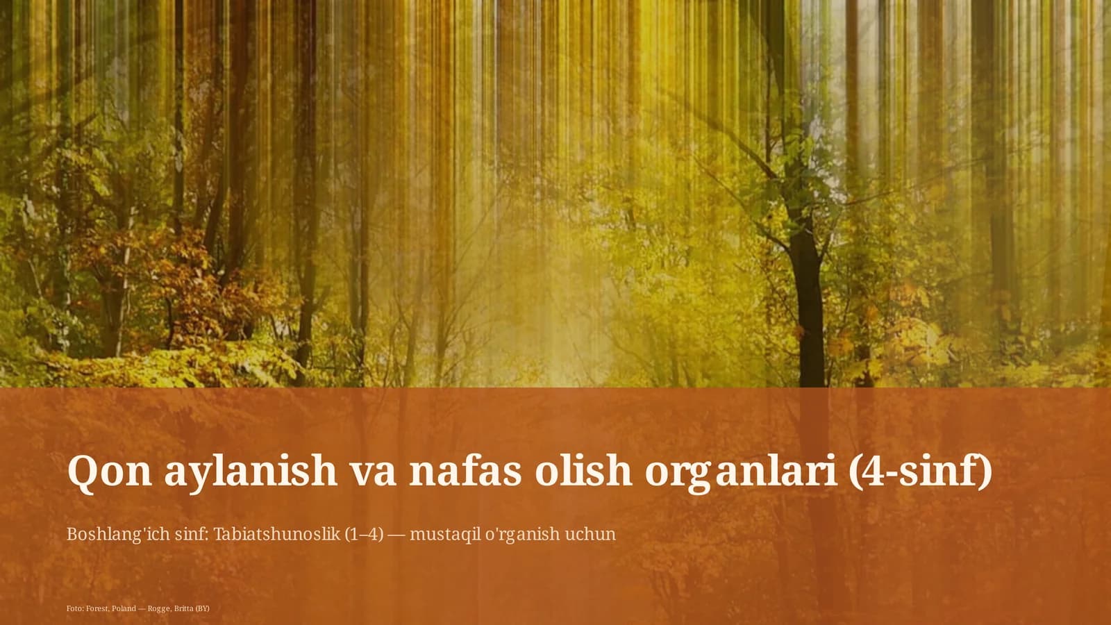 Qon aylanish va nafas olish organlari (4-sinf)