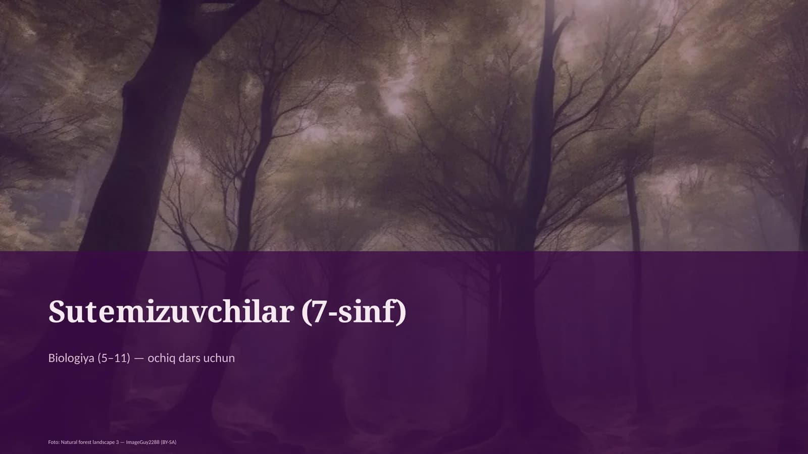 Sutemizuvchilar (7-sinf)