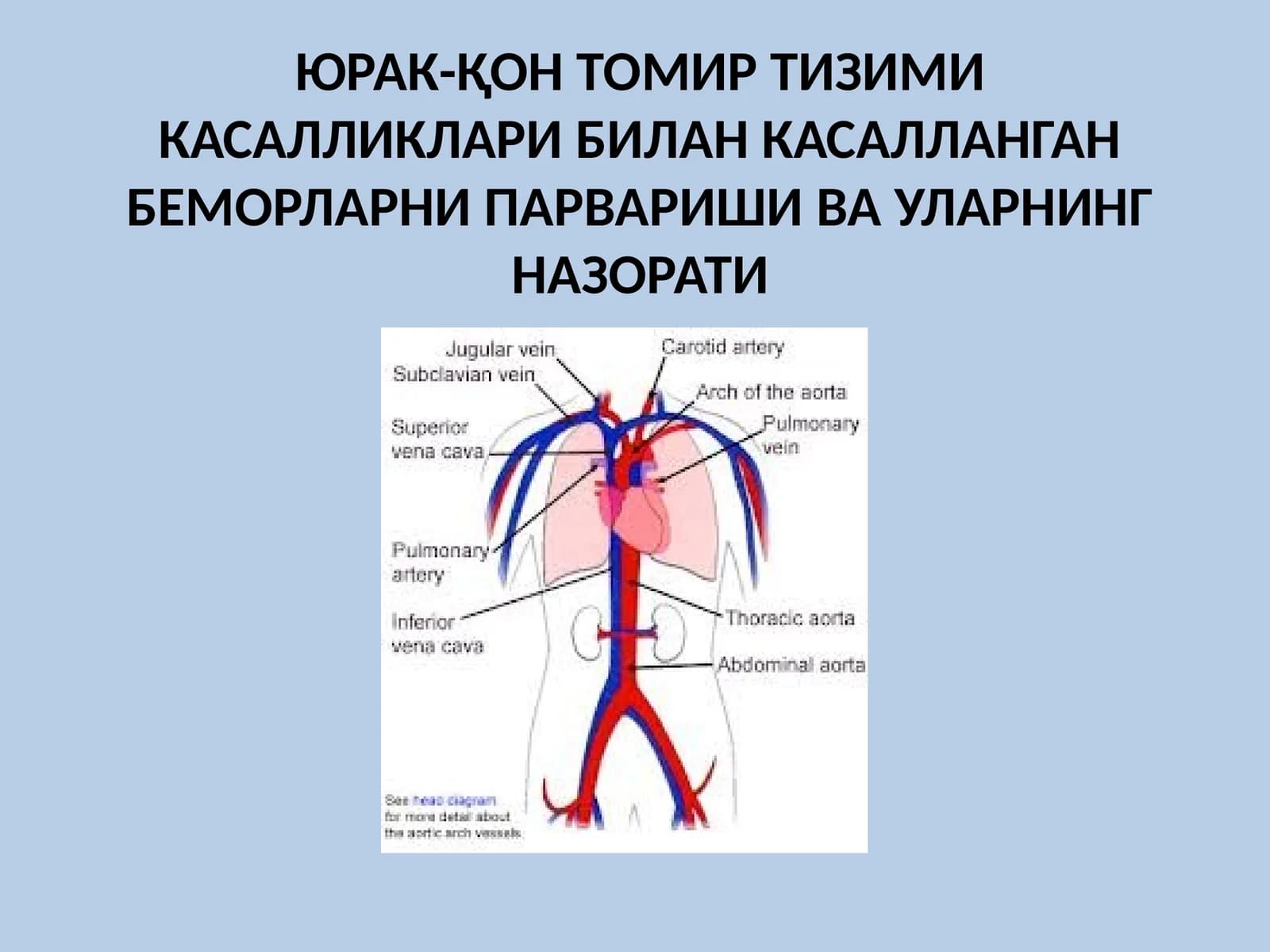ЮРАК-ҚОН ТОМИР ТИЗИМИ КАСАЛЛИКЛАРИ БИЛАН КАСАЛЛАНГАН БЕМОРЛАРНИ ПАРВАРИШИ ВА УЛАРНИНГ НАЗОРАТИ