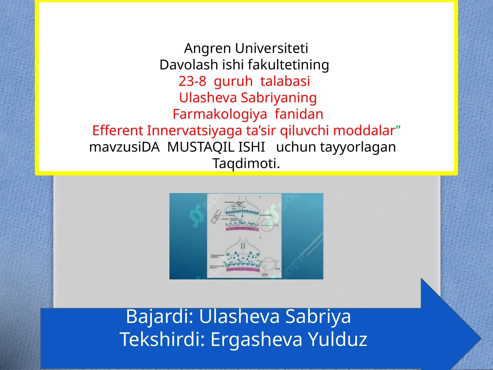 Efferent Innervatsiya gata’sirqiluvchi moddalar