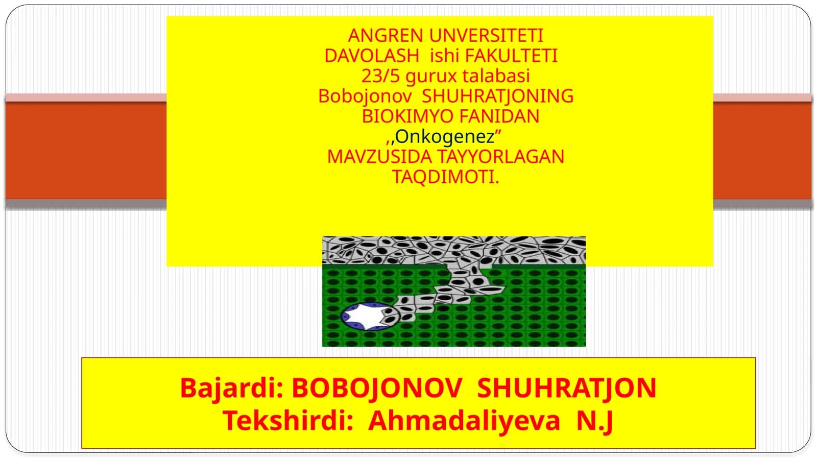 Onkogeneznima?.Onkogenezningbosqichlari: