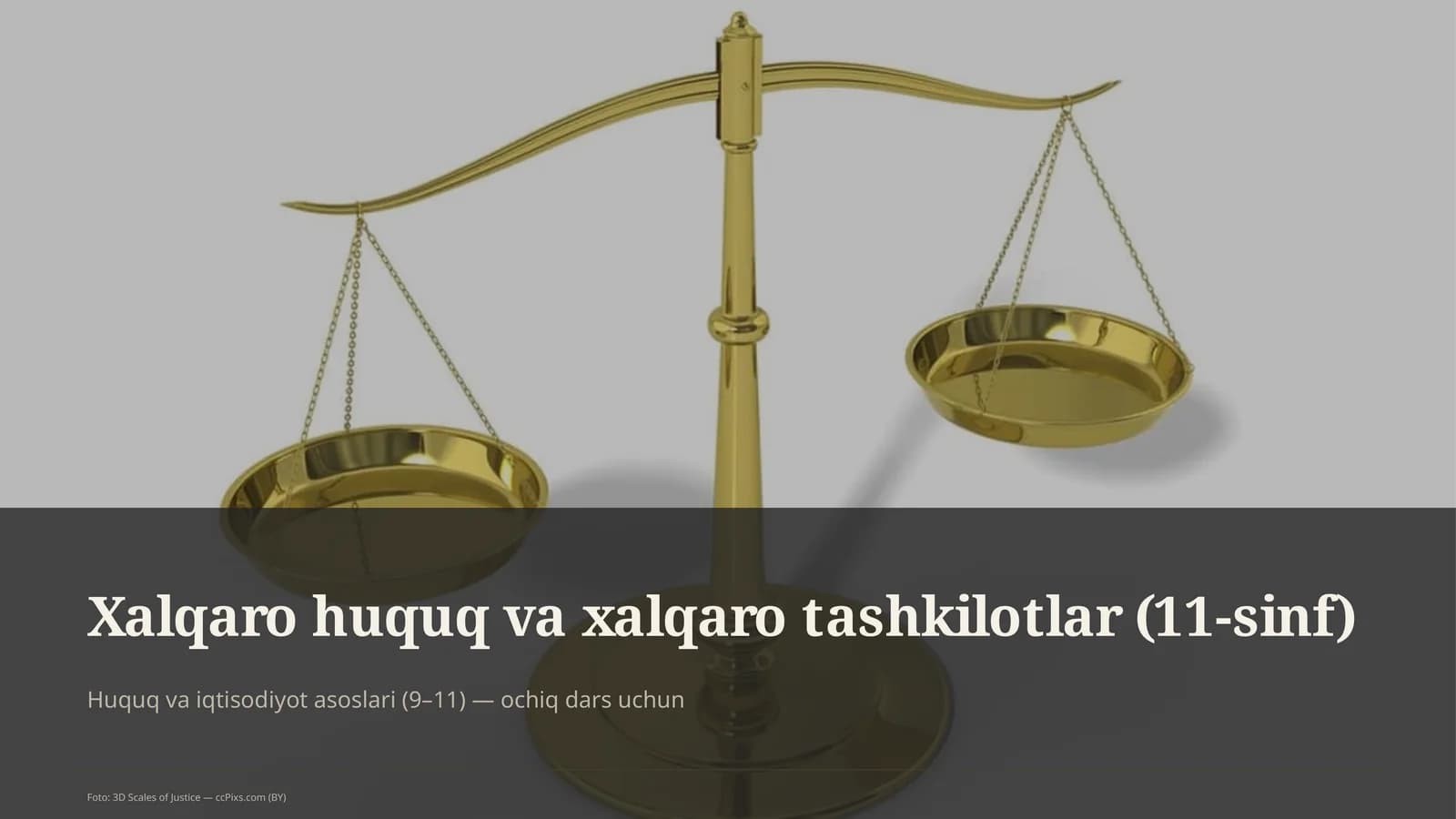 Xalqaro huquq va xalqaro tashkilotlar (11-sinf)