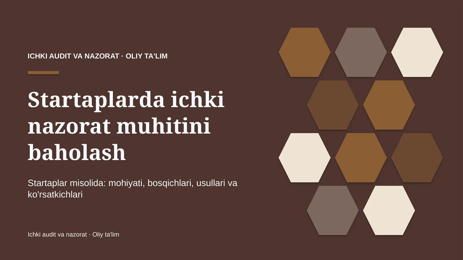 startaplarda ichki nazorat muhitini baholash 4733
