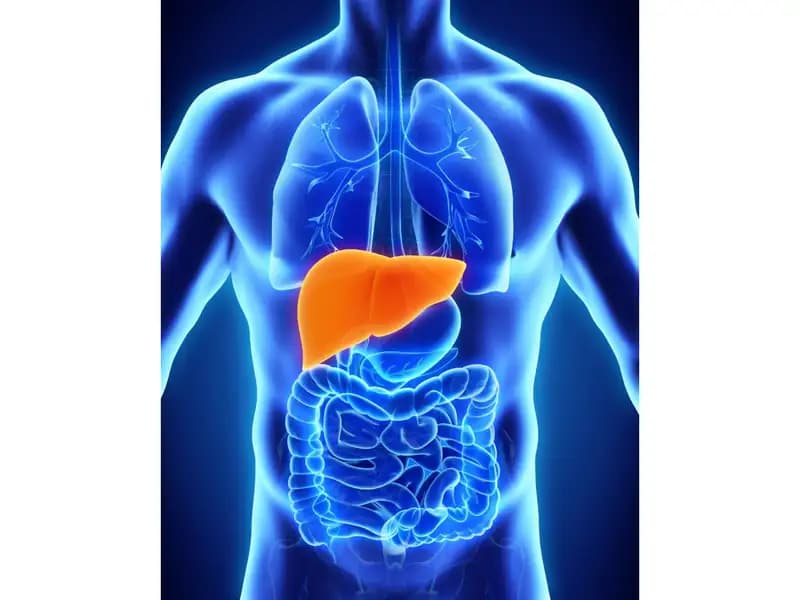 Hepatic shedevr