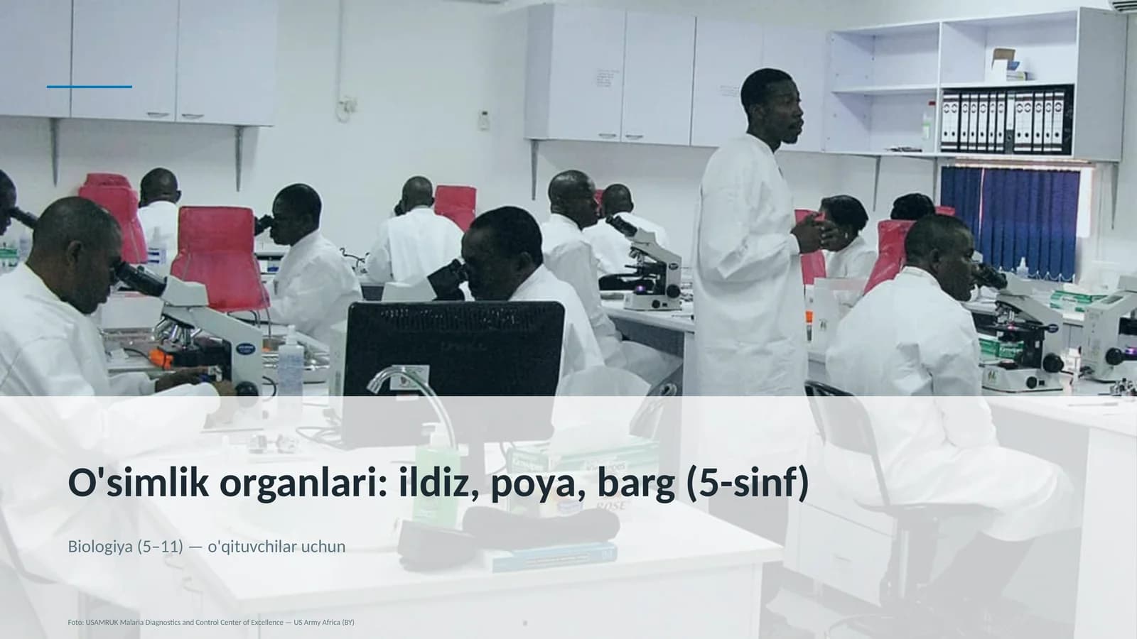 O'simlik organlari: ildiz, poya, barg (5-sinf)