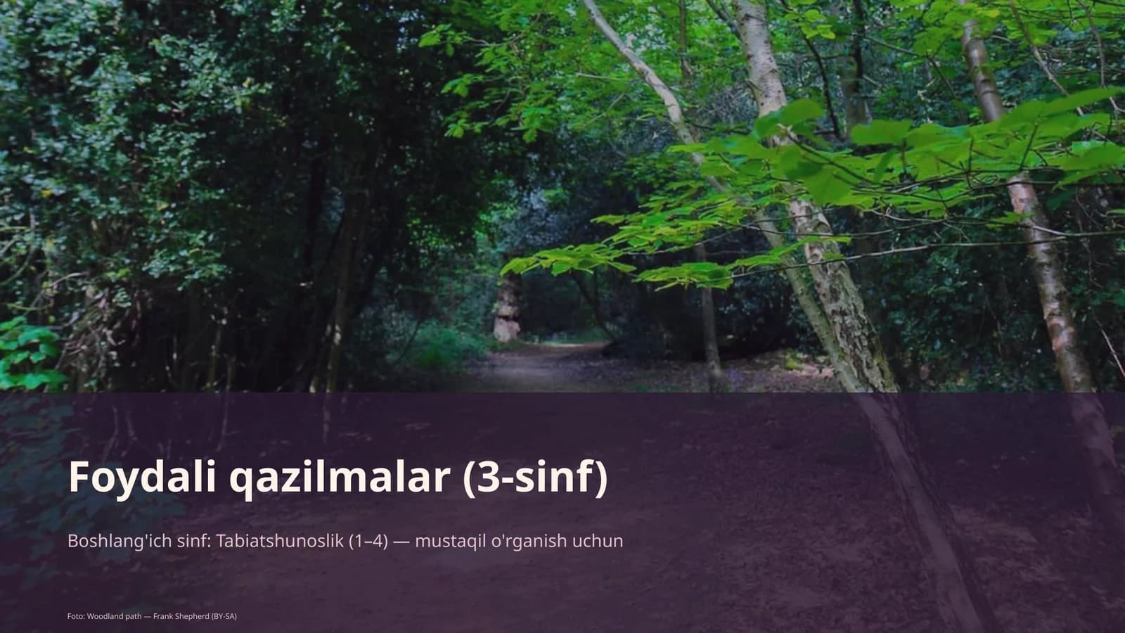Foydali qazilmalar (3-sinf)