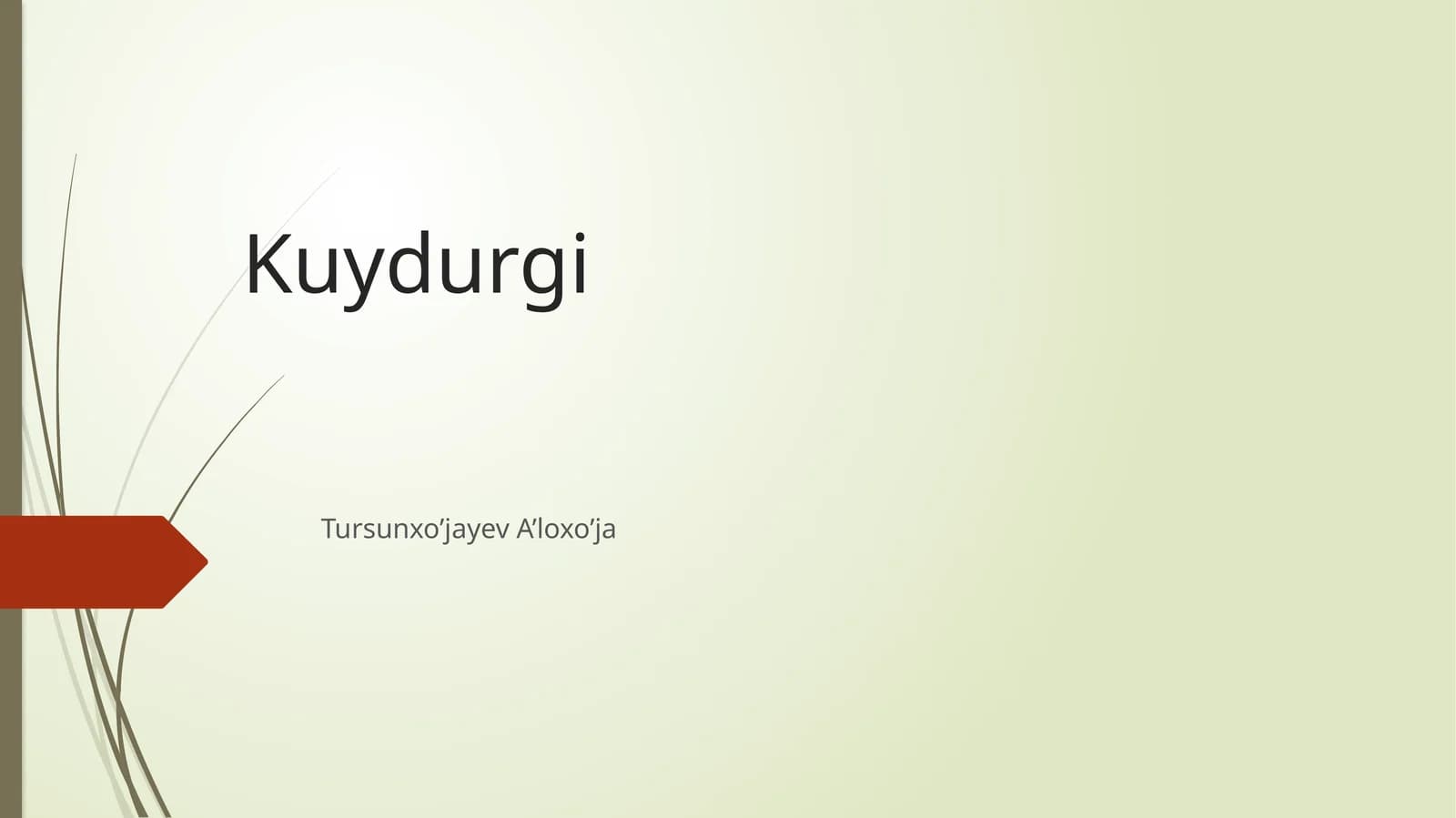 Kuydurgi