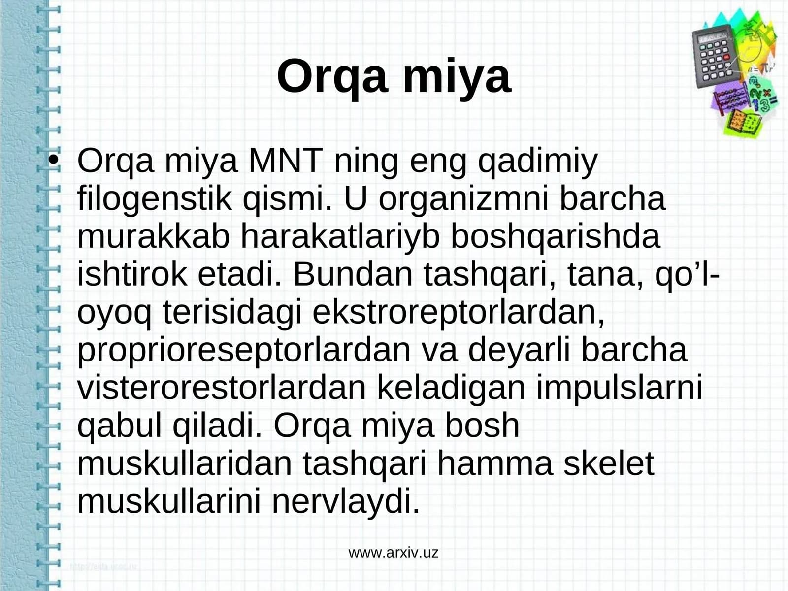 Orqa miya