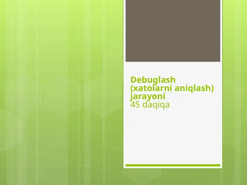 Debuglash