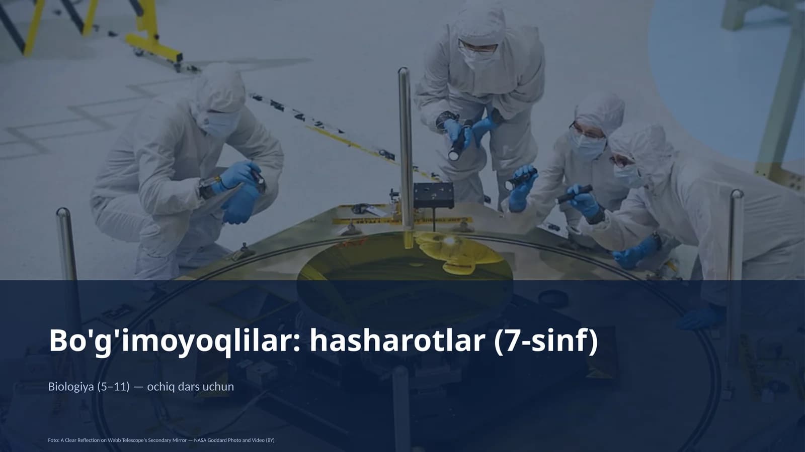Bo'g'imoyoqlilar: hasharotlar (7-sinf)