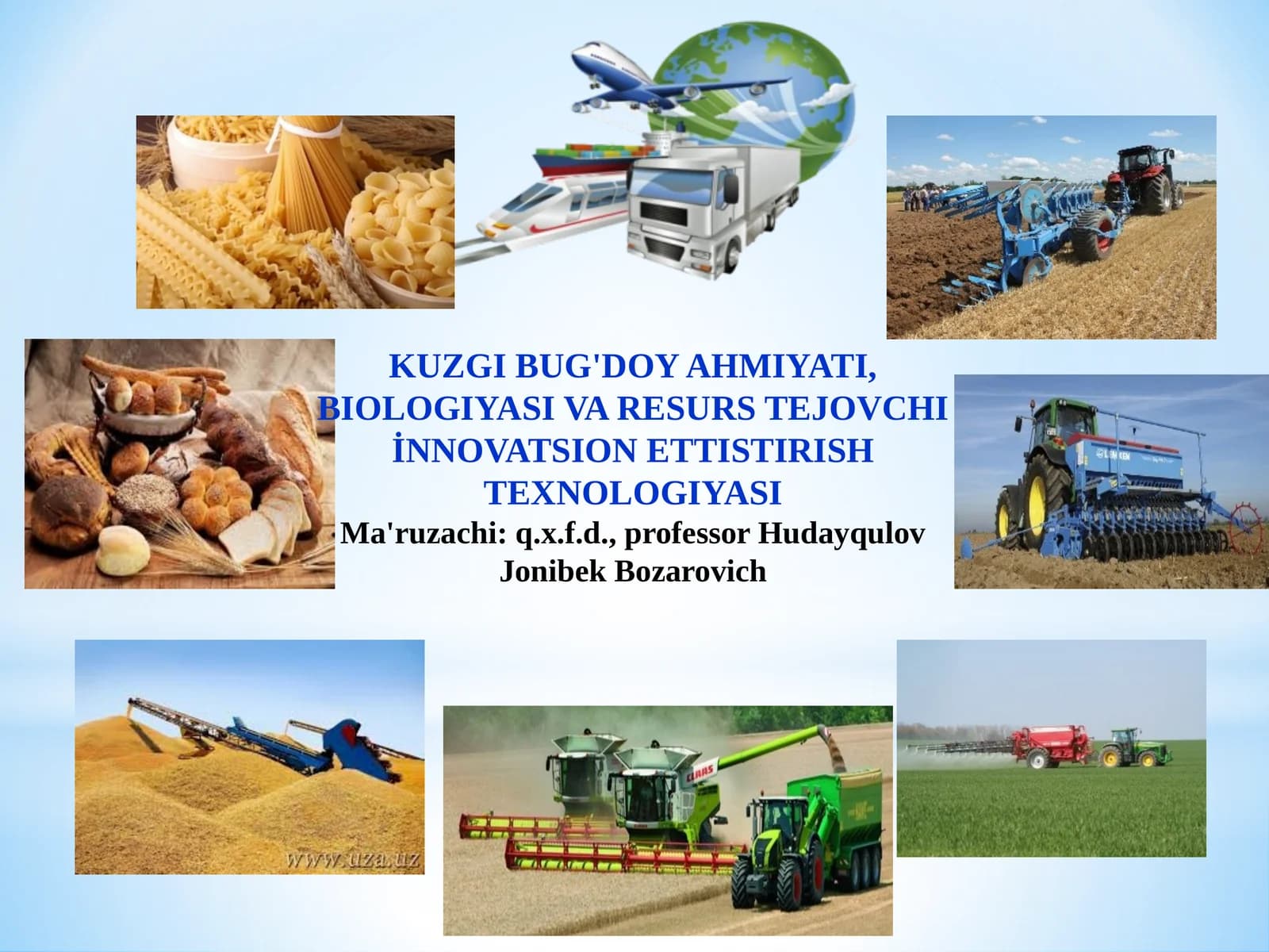 KUZGI BUG'DOY AHMIYATI, BIOLOGIYASI VA RESURS TEJOVCHIİNNOVATSION ETTISTIRISH TEXNOLOGIYASI