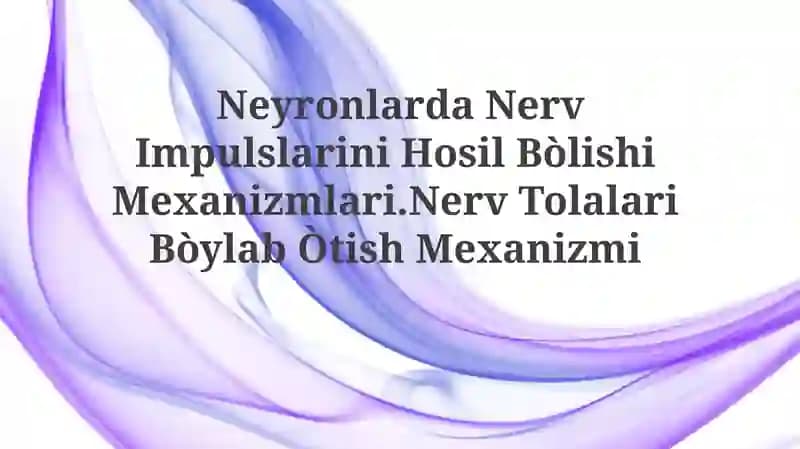 Neyronlarda Nerv Impulslarini Hosil Bòlishi Mexanizmlari.Nerv Tolalari Bòylab Òtish Mexanizmi