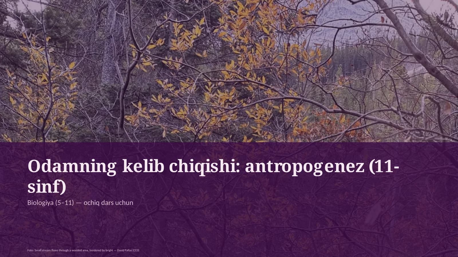 Odamning kelib chiqishi: antropogenez (11-sinf)
