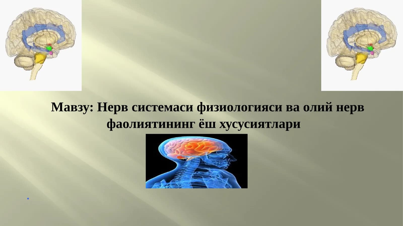 Нерв системаси физиологияси ва олий нерв фаолиятининг ёш хусусиятлари