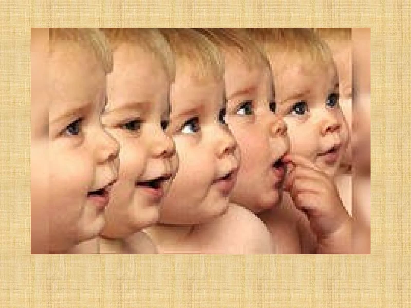 Cloning and DNA Discussion Questions