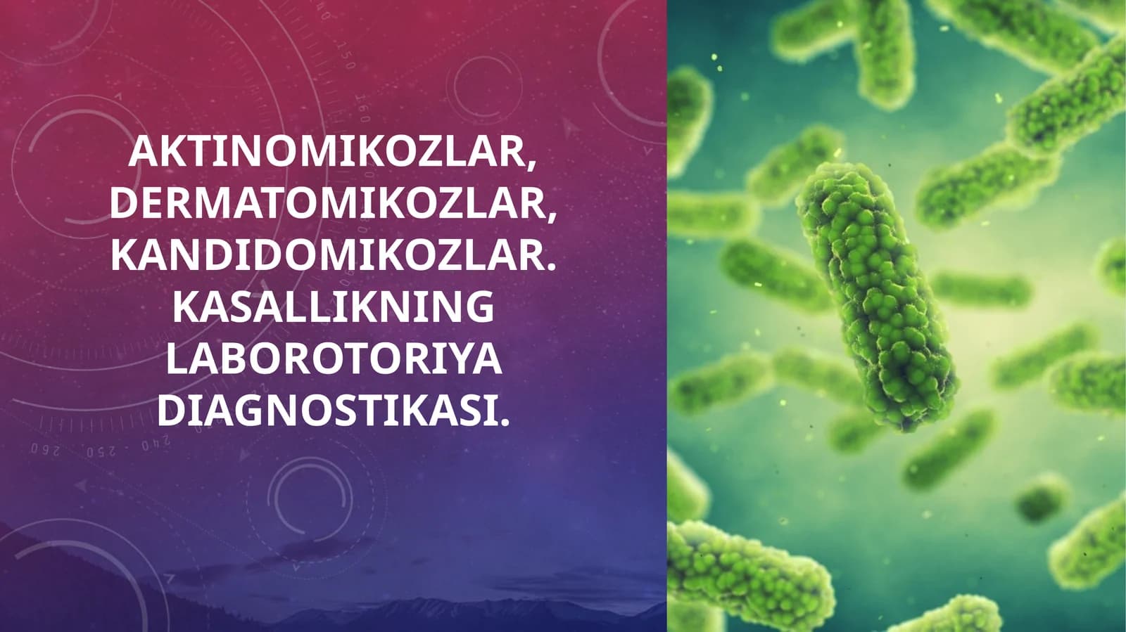 Aktinomikozlar, dermatomikozlar, kandidomikozlar. Kasallikning laborotoriya diagnostikasi.