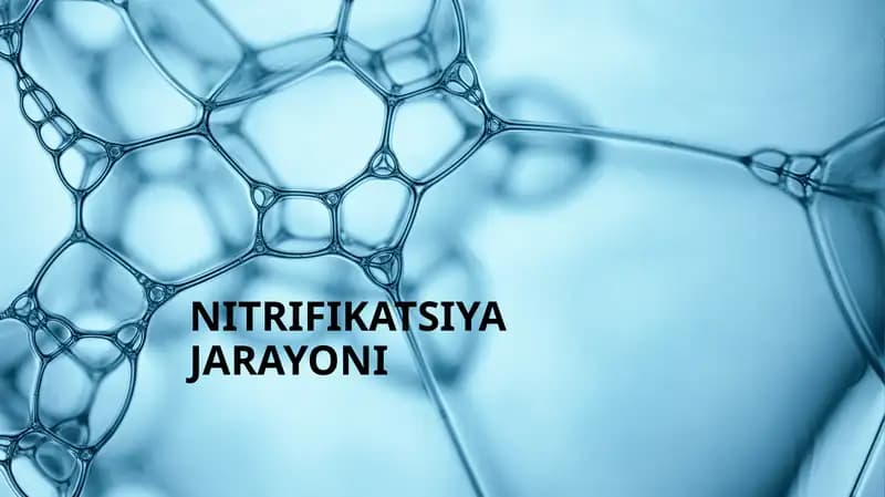 Nitrifikatsiya jarayoni