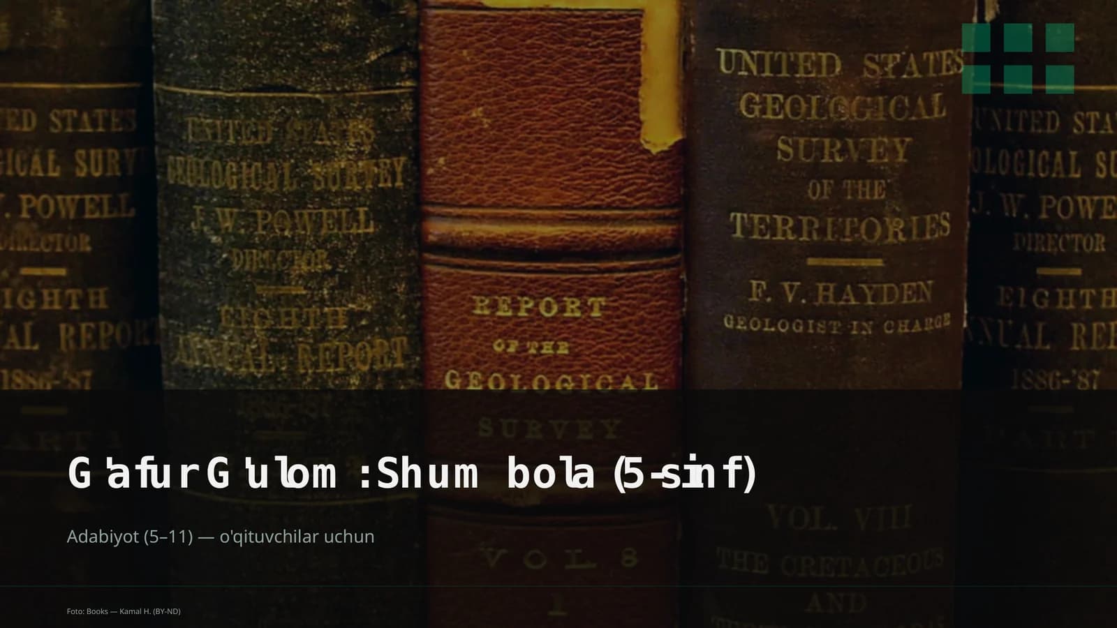 G'afur G'ulom: Shum bola (5-sinf)