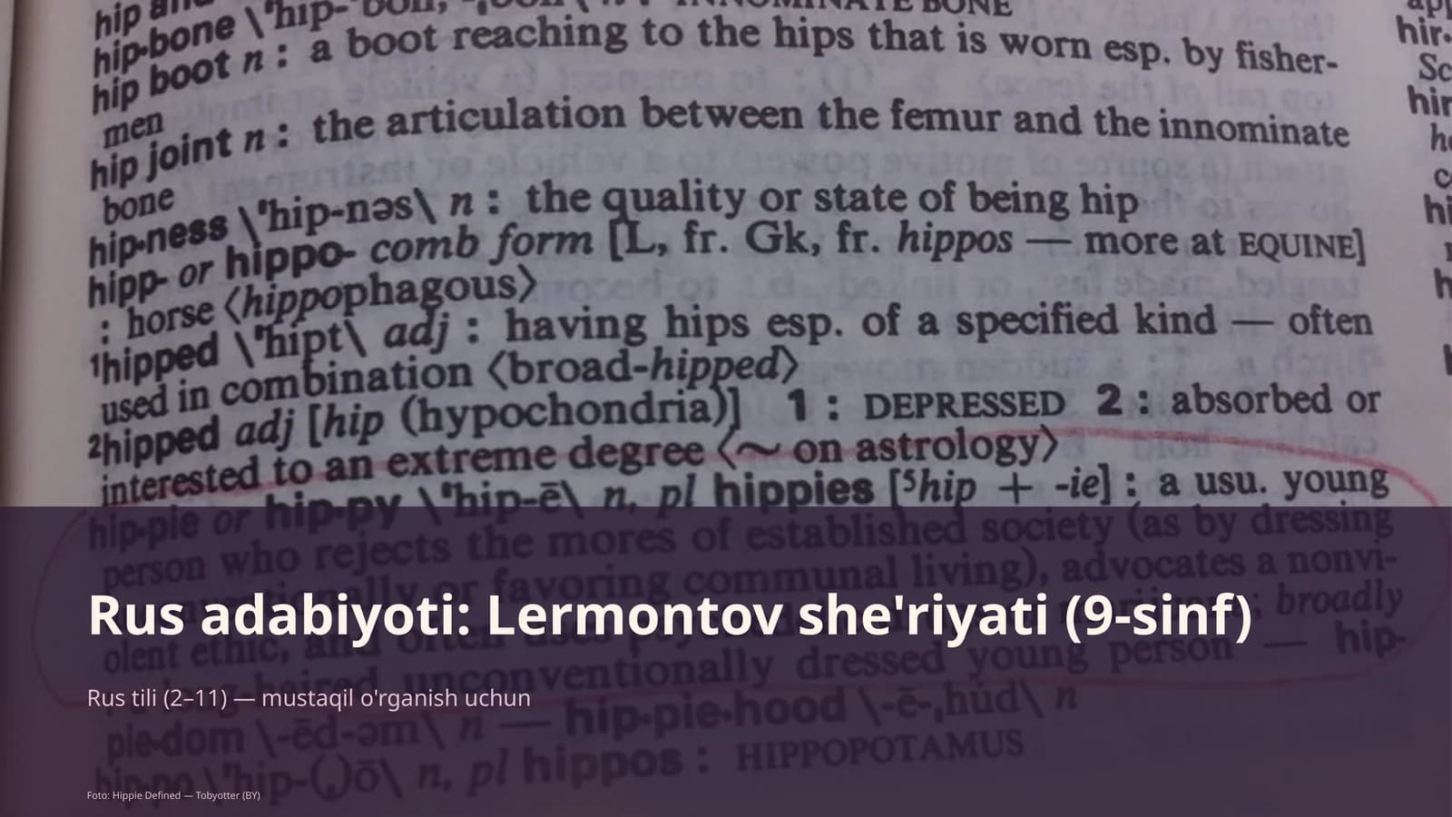 Rus adabiyoti: Lermontov she'riyati (9-sinf)