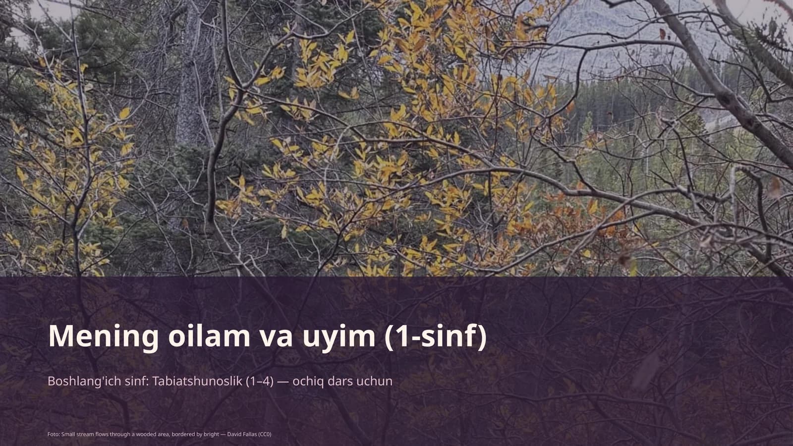 Mening oilam va uyim (1-sinf)