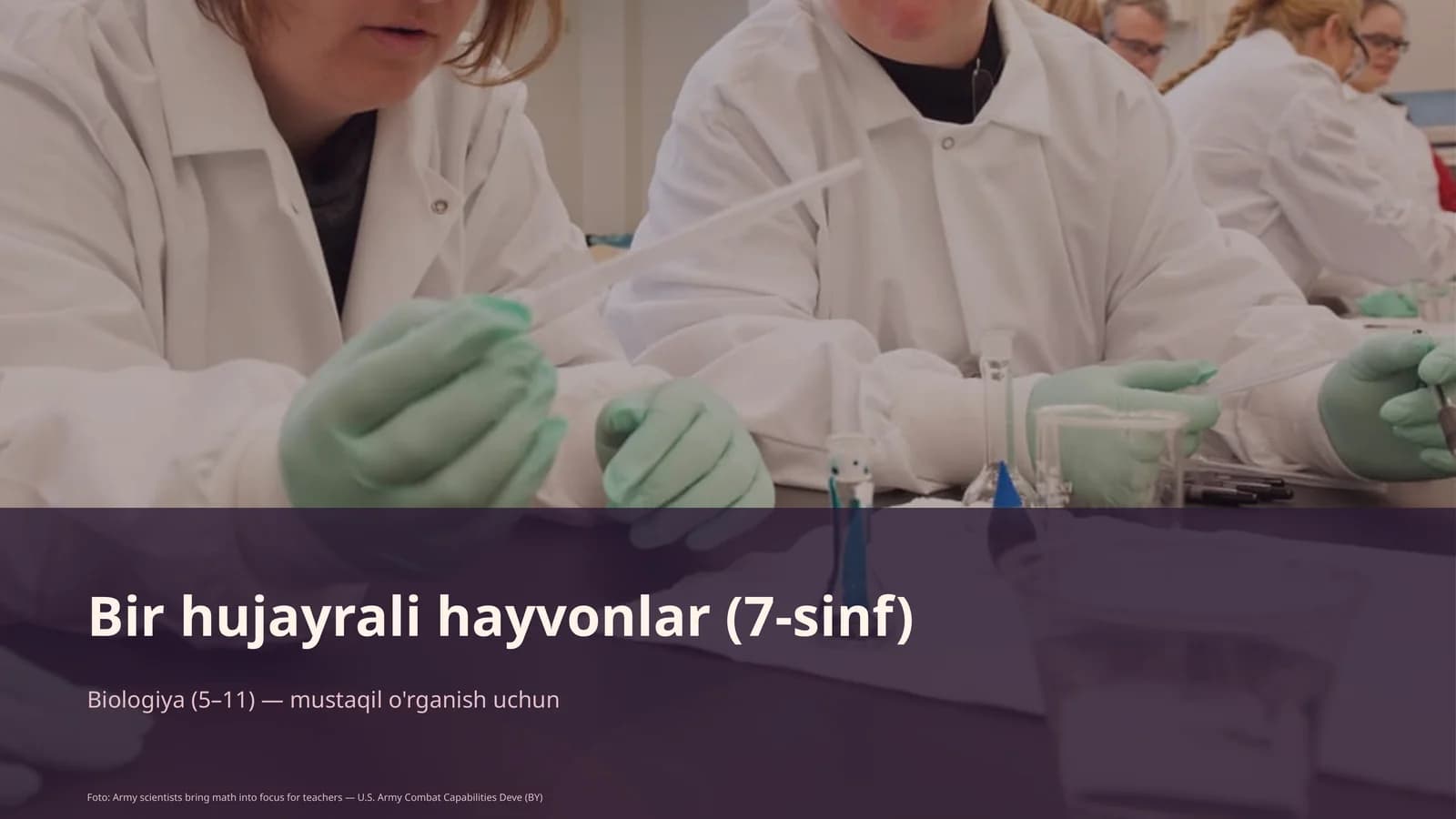 Bir hujayrali hayvonlar (7-sinf)