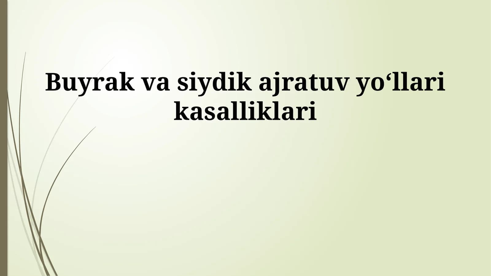 Buyrak va siydik ajratuv yoʻllari kasalliklari
