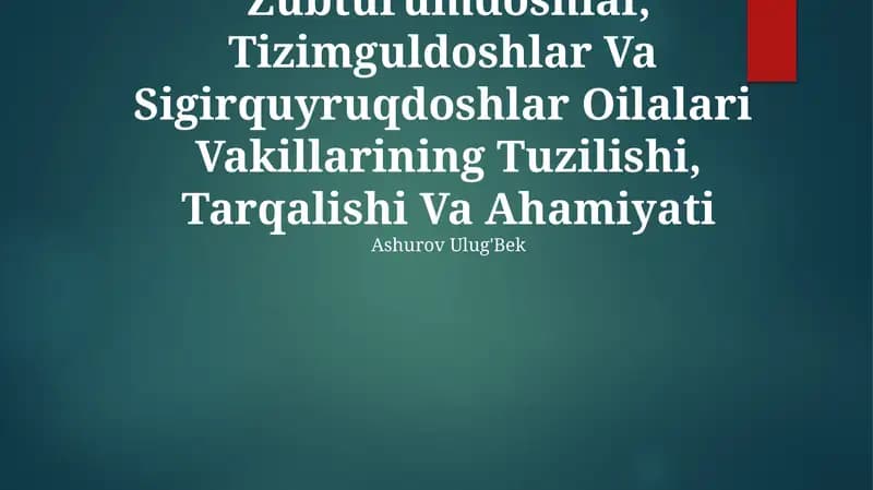 Zubturumdoshlar, Tizimguldoshlar Va Sigirquyruqdoshlar Oilalari Vakillarining Tuzilishi, Tarqalishi Va Ahamiyati