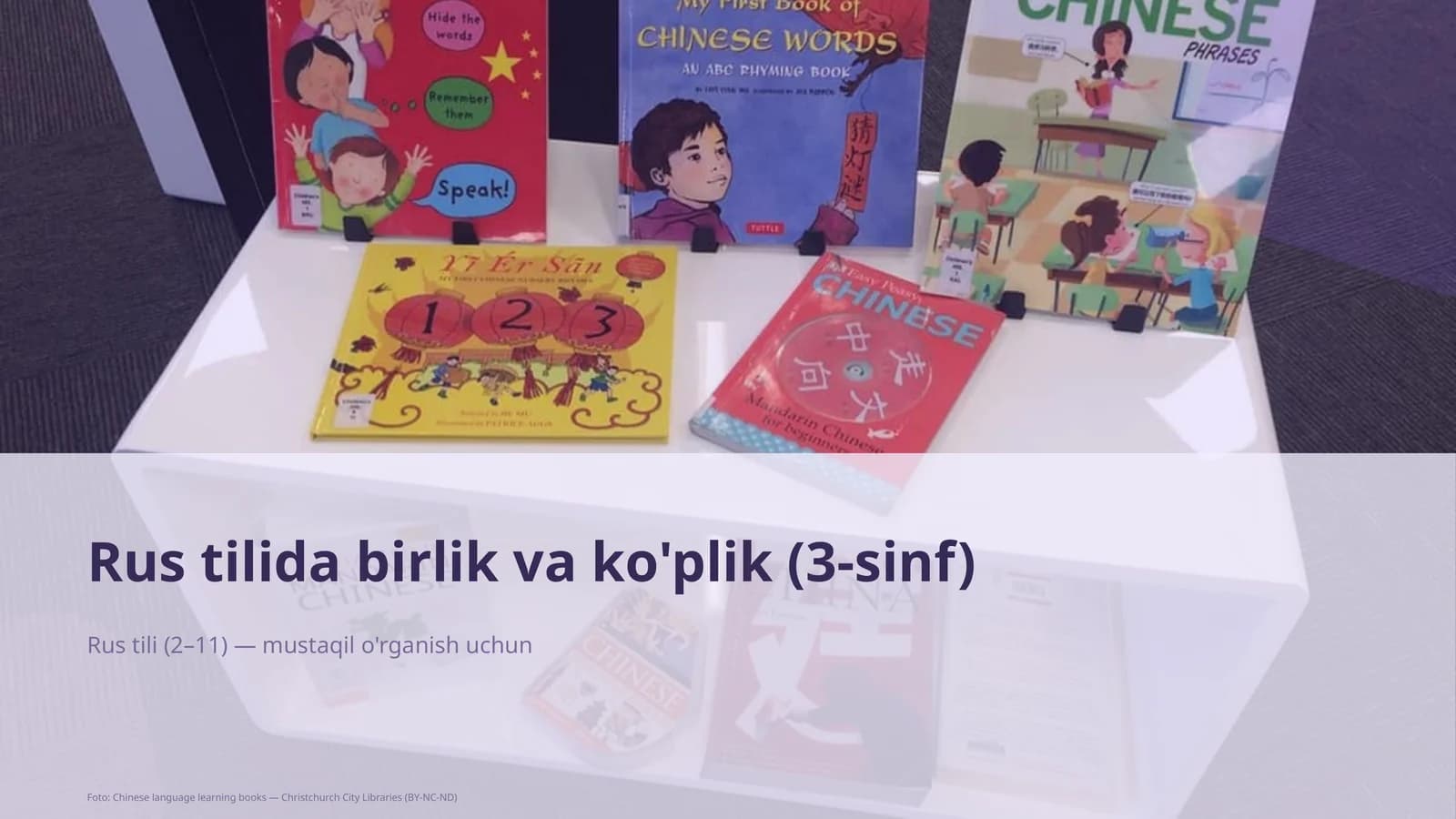 Rus tilida birlik va ko'plik (3-sinf)