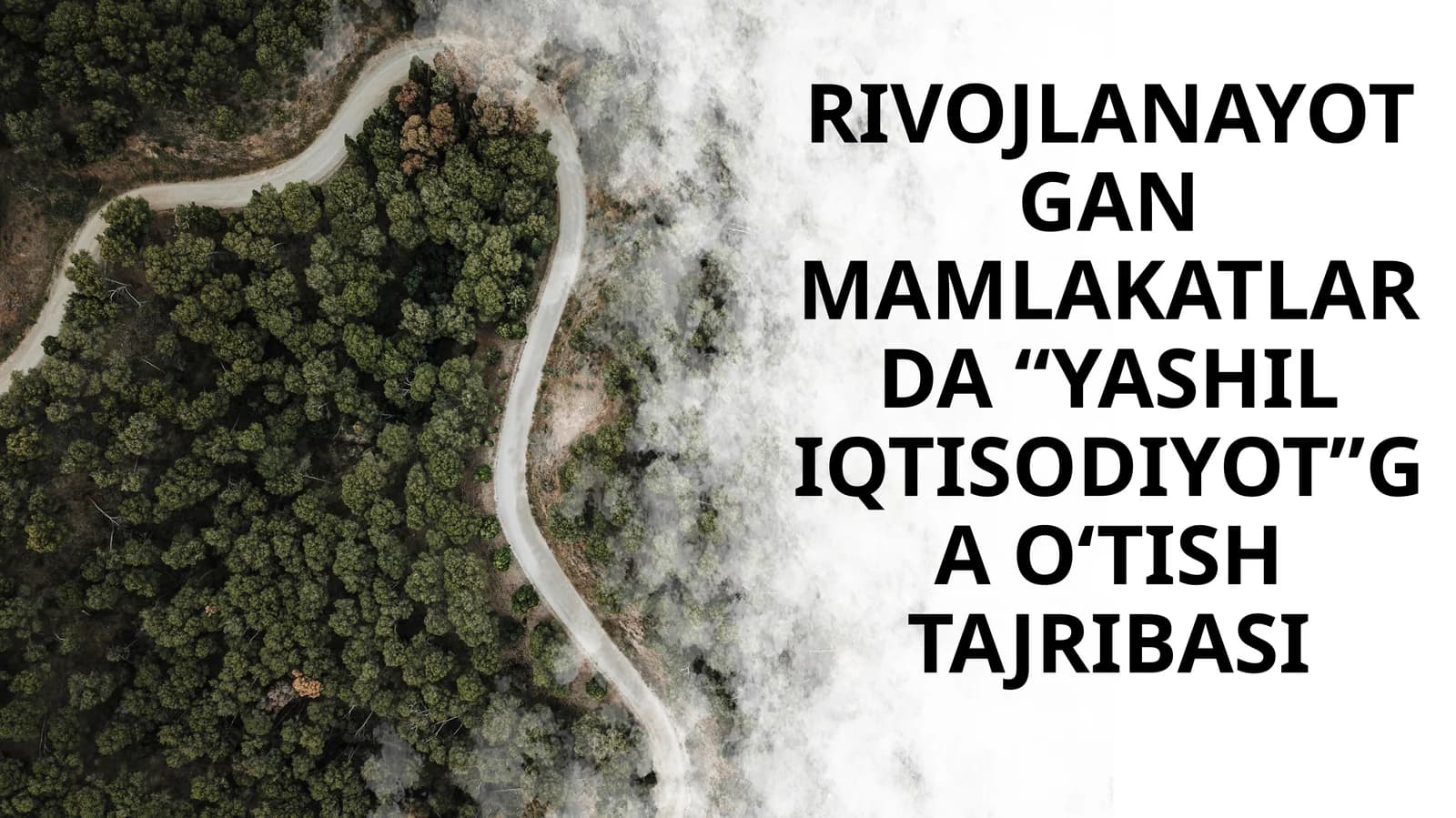 [RIVOJLANAYOTGANMAMLAKATLARDA “YASHIL IQTISODIYOT”GA O‘TISH TAJRIBASI]