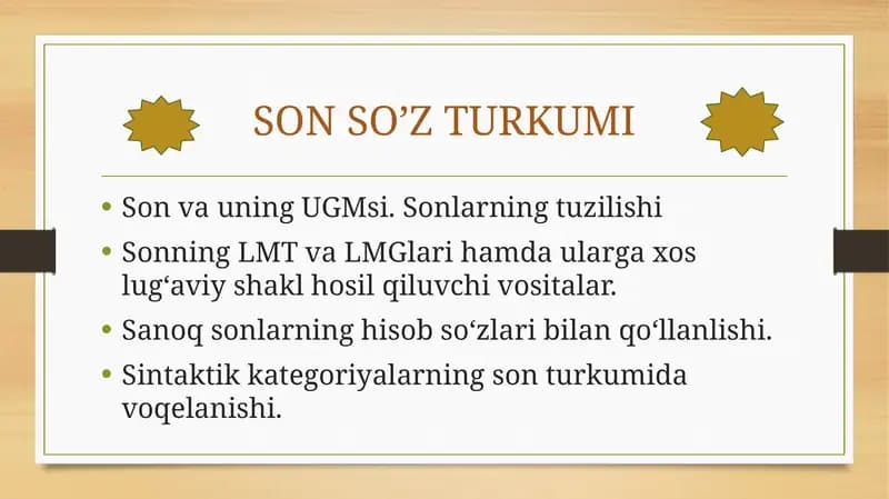 SON SO’Z TURKUMI