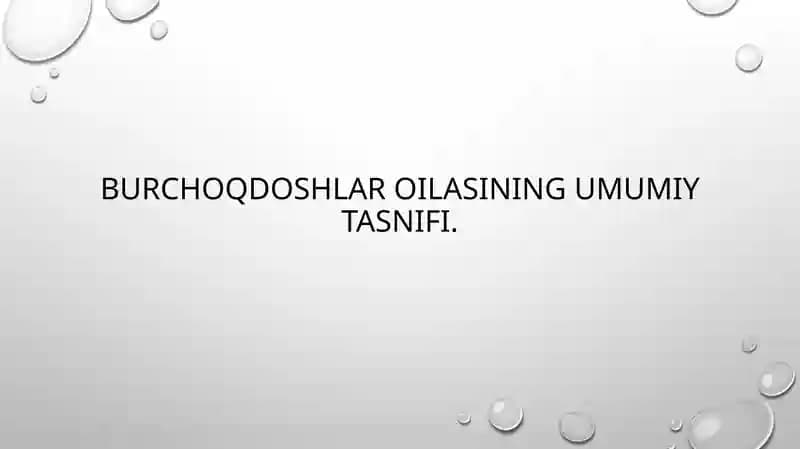 Burchoqdoshlar oilasi