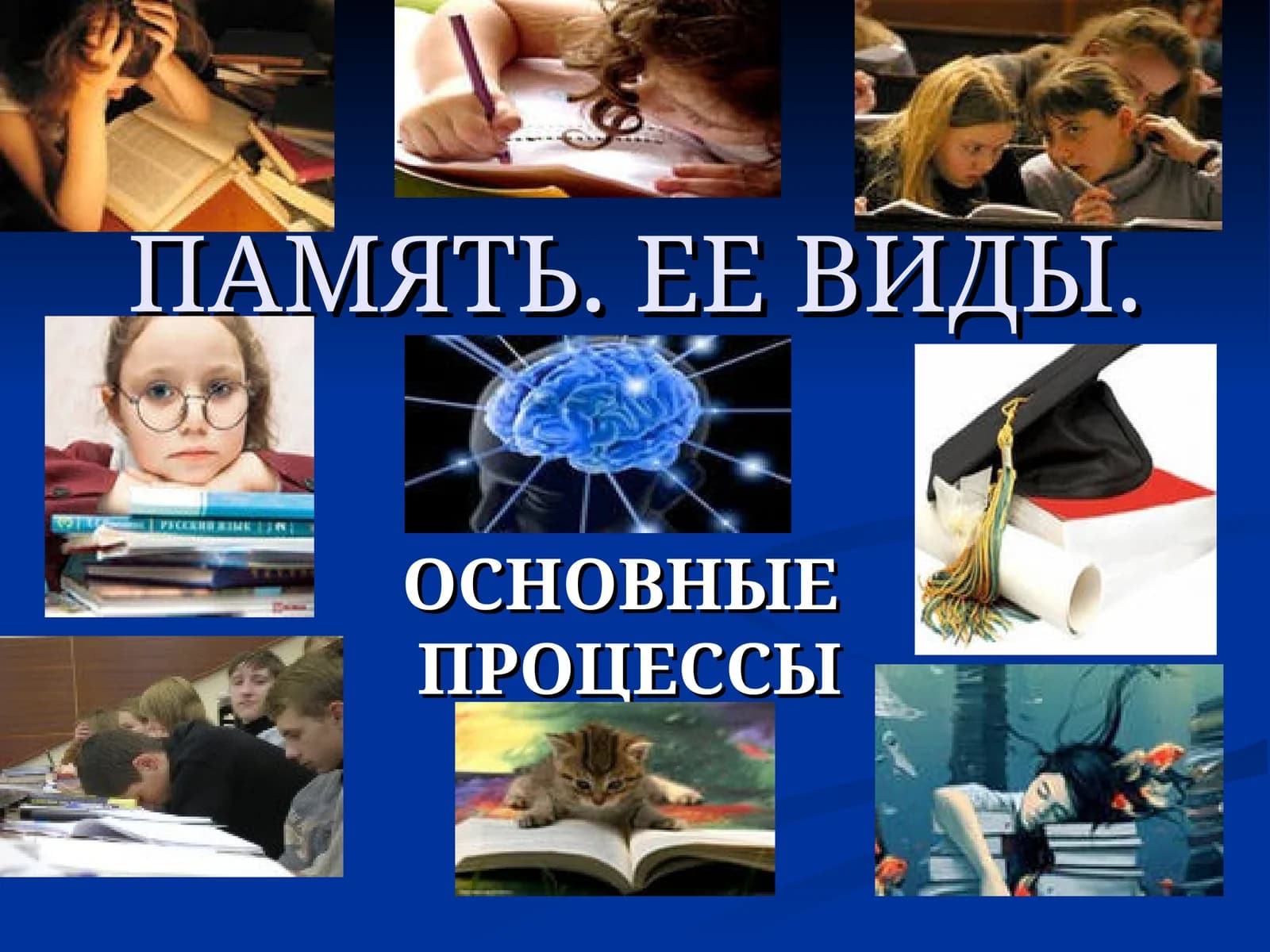ПАМЯТЬ. ЕЕ ВИДЫ