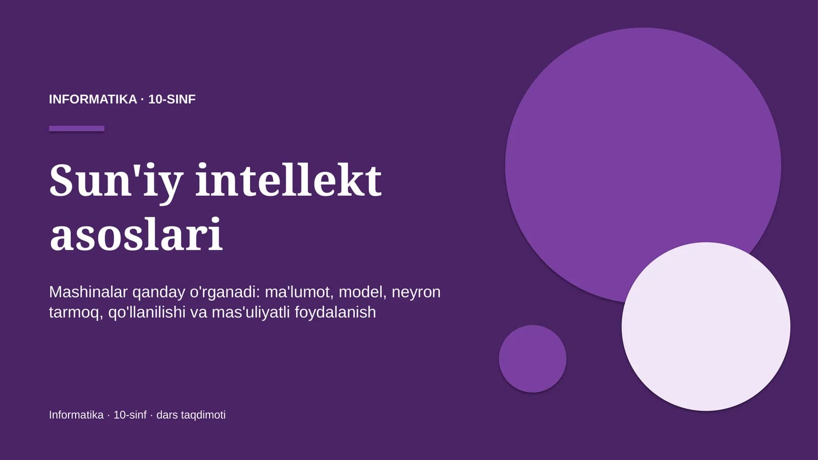 sun'iy intellekt asoslari 10 sinf 8825