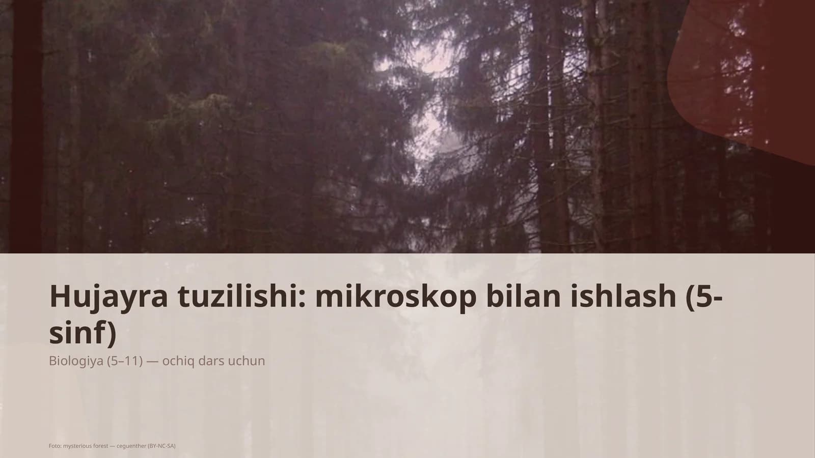 Hujayra tuzilishi: mikroskop bilan ishlash (5-sinf)