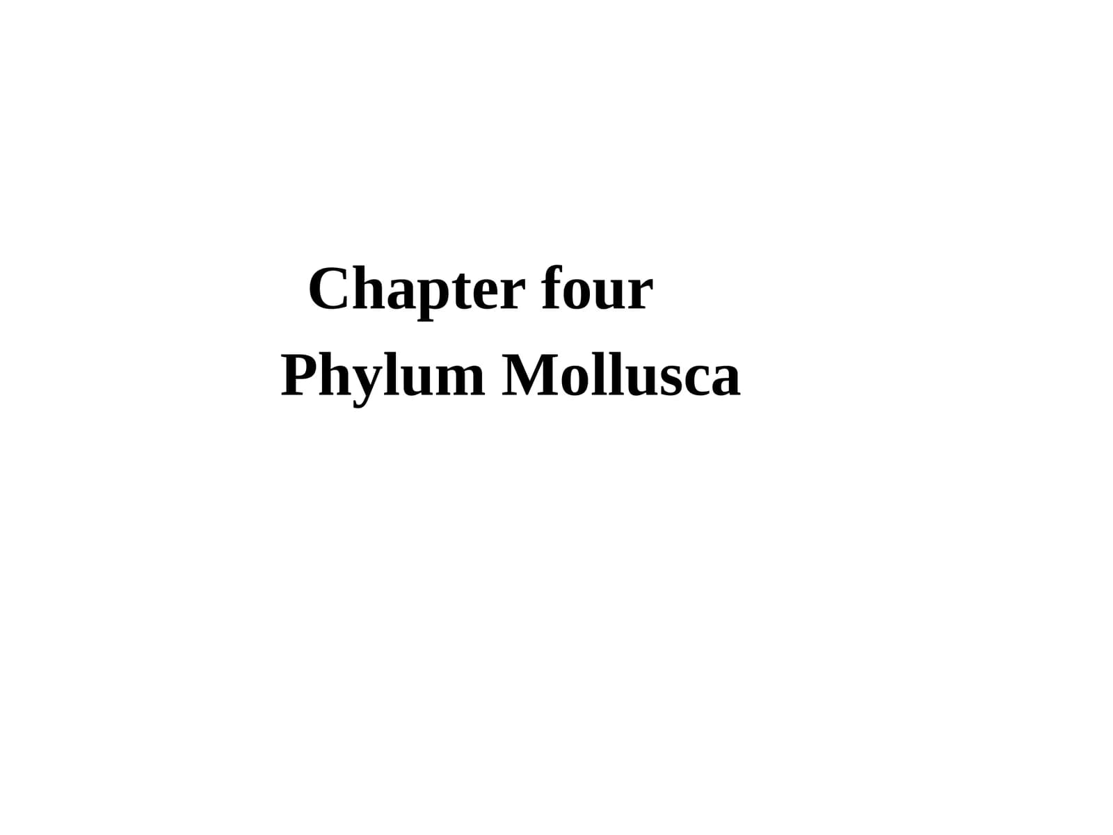Phylum Mollusca
